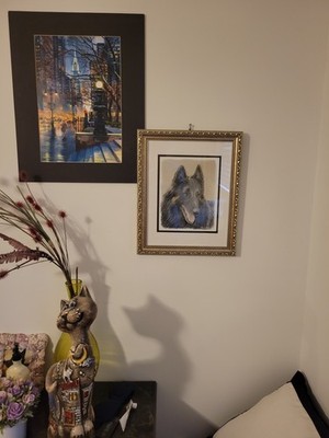Objectfoto('s) van geverifieerde koper