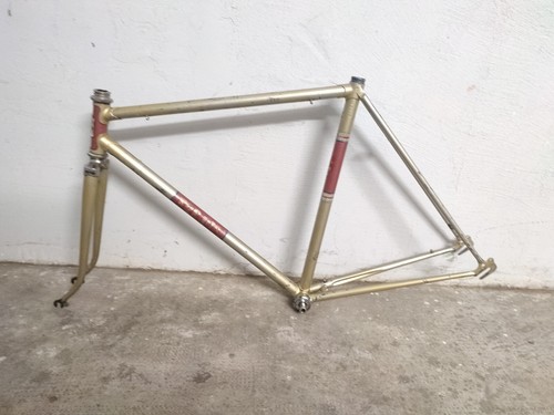 A vintage telaio frame  28" 53 x 54  frejus tour de France 1950 Bici Bike Eroica