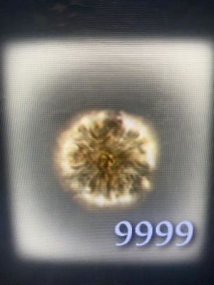 Elden Ring PS4 / PS5 - 100,000,00 Runes + Additional In Game Items