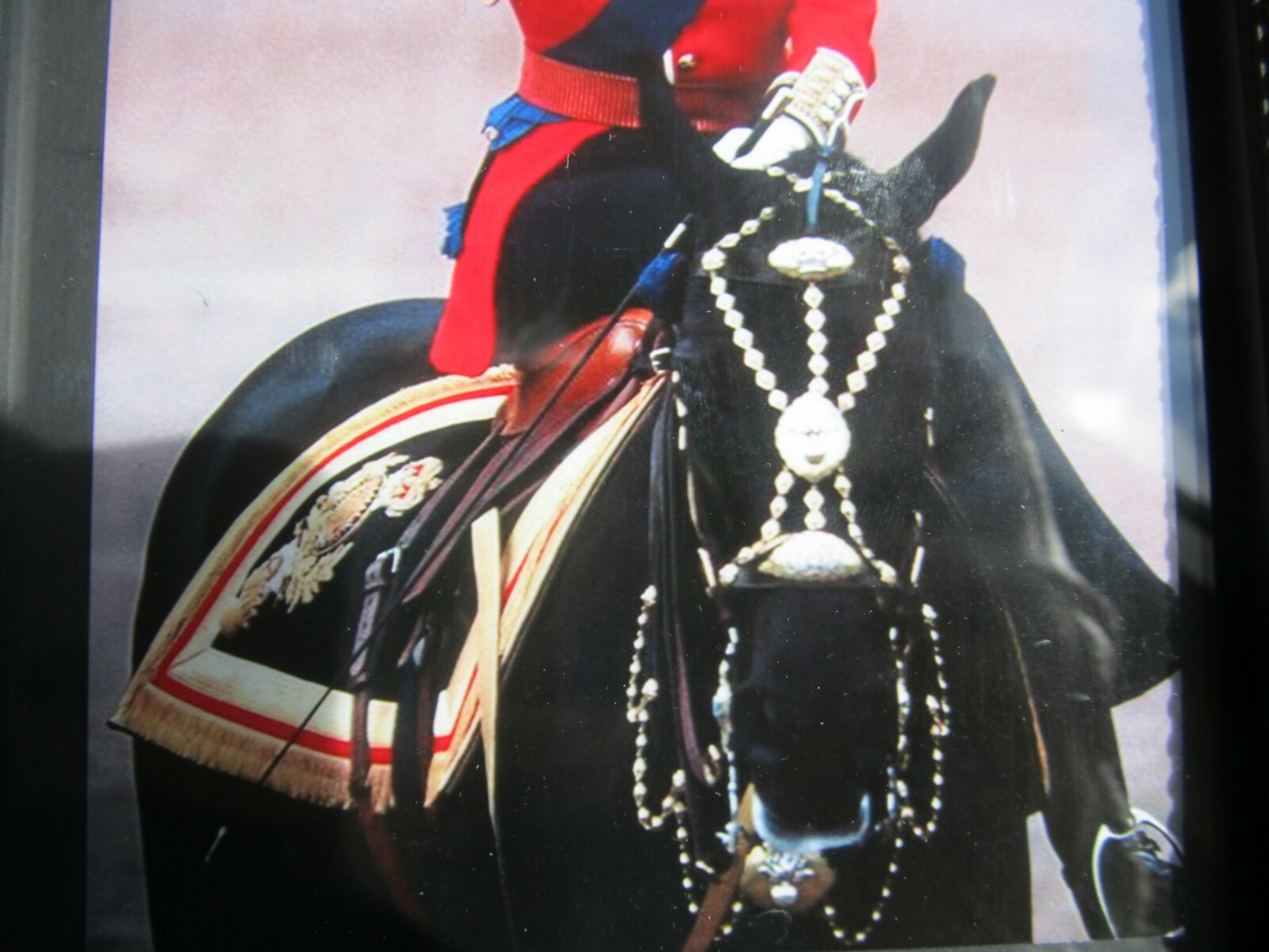 Queen Elizabeth II - Trooping the Colors - Palace