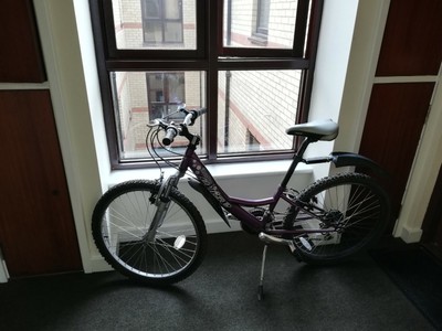 pulse Amethyst mountain bike， good and strong condition, free lock and helmet 