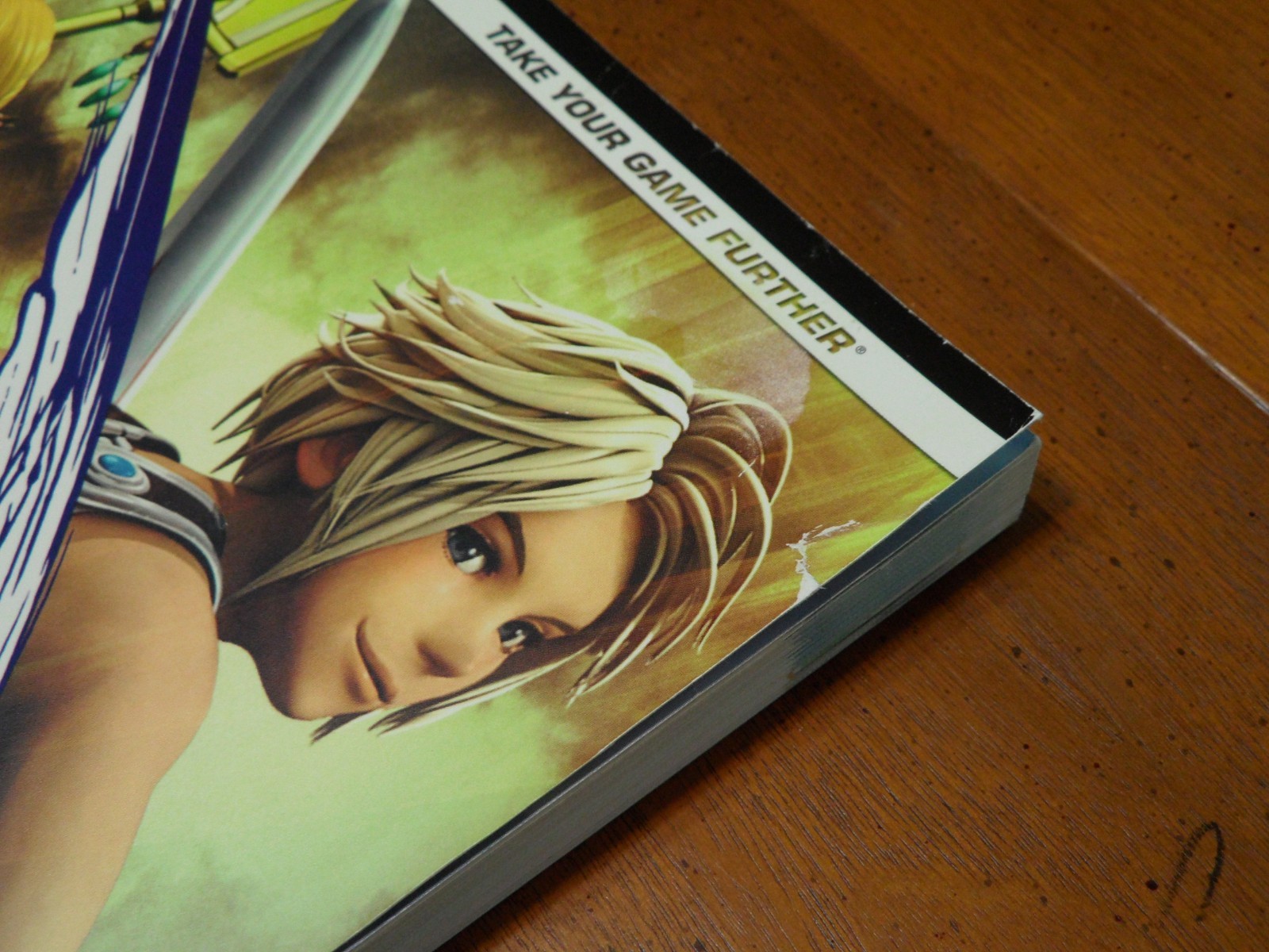 Final Fantasy Xll Revenant Wings Brady Games Strategy Guide With Pullout DS