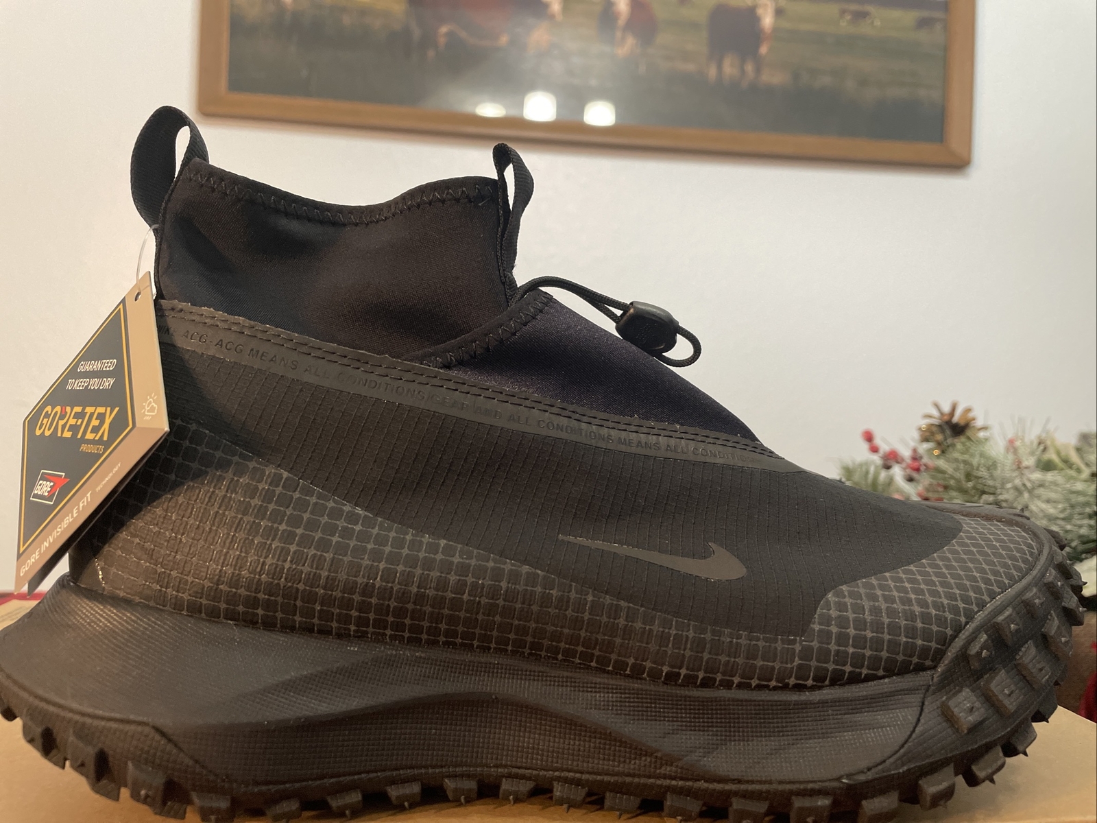 Nike acg mountain fly low gore tex Nike acg mountain fly low gore tex