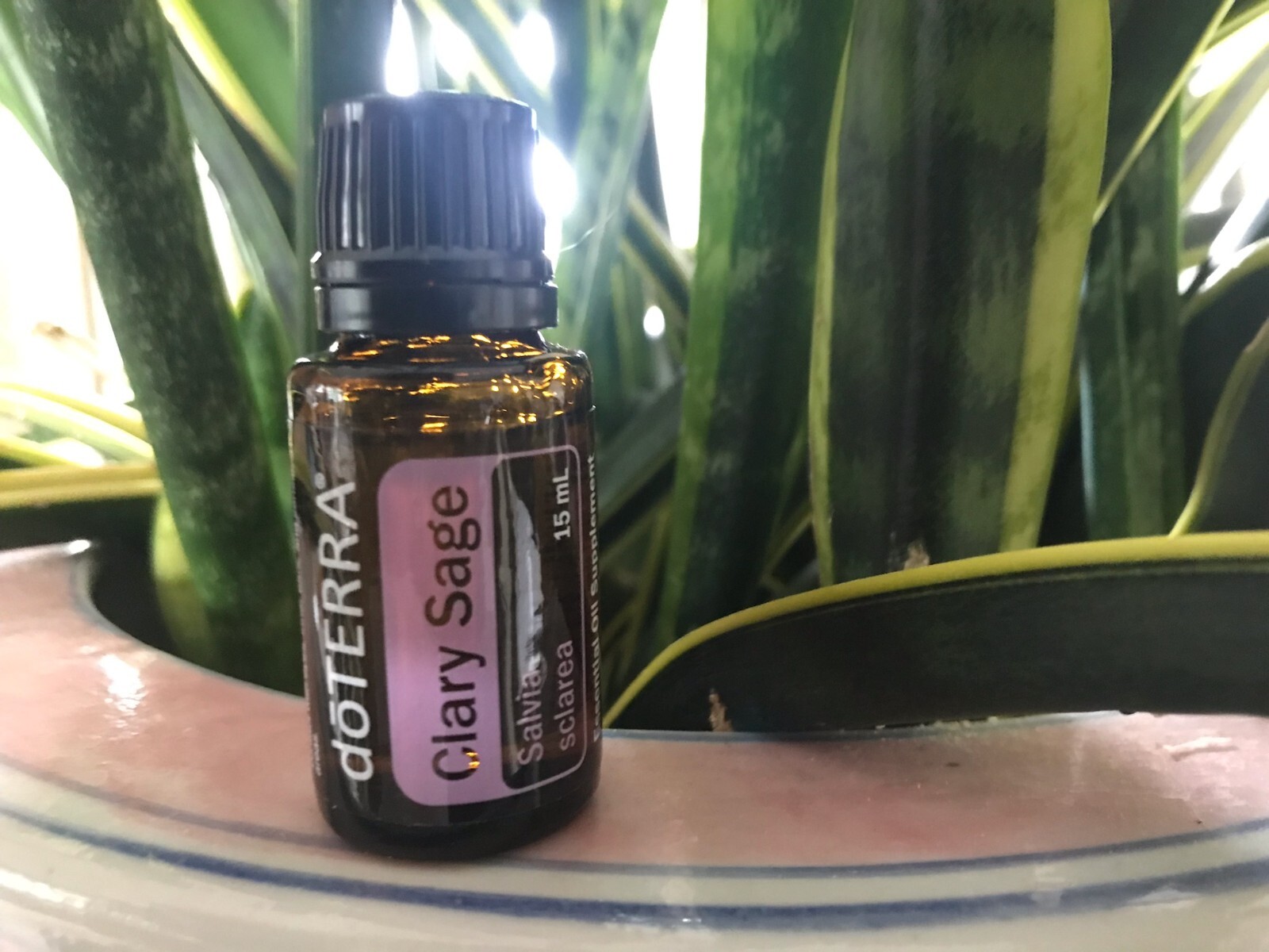 dōTERRA Clary Sage + Lavander 15ml Clary Sage 15 ml – Good Health Herbs