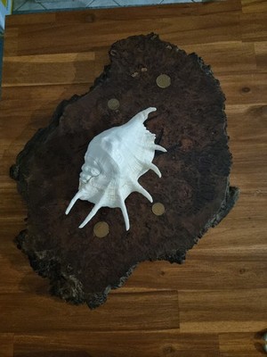 Objectfoto('s) van geverifieerde koper