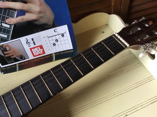 BURSWOOD BEGINNERS GUITAR JF-30S & INSTRUCTION BOOK NEEDS STRINGS