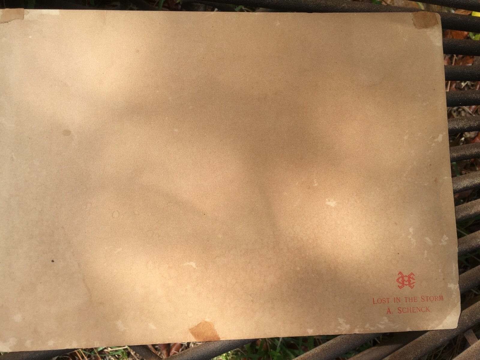 Victorian 19th Century Lost in the Storm Sheep Dogs Antique Sheepdog Breed Print