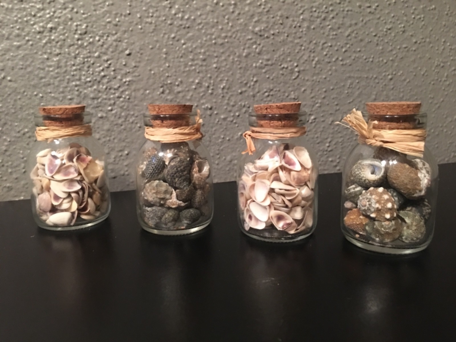 Glass Jar of Seashells Home Decor Sea Shells