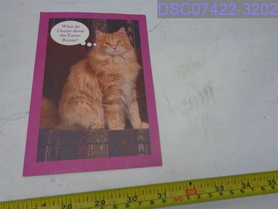 Qty=3: Paper Greetings From The Cat Easter Cards - 4.5'' x 6.5'' #21226219