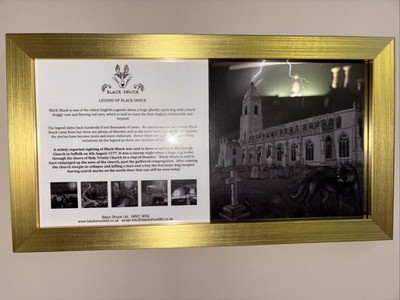 Fotos del artículo de un comprador verificado