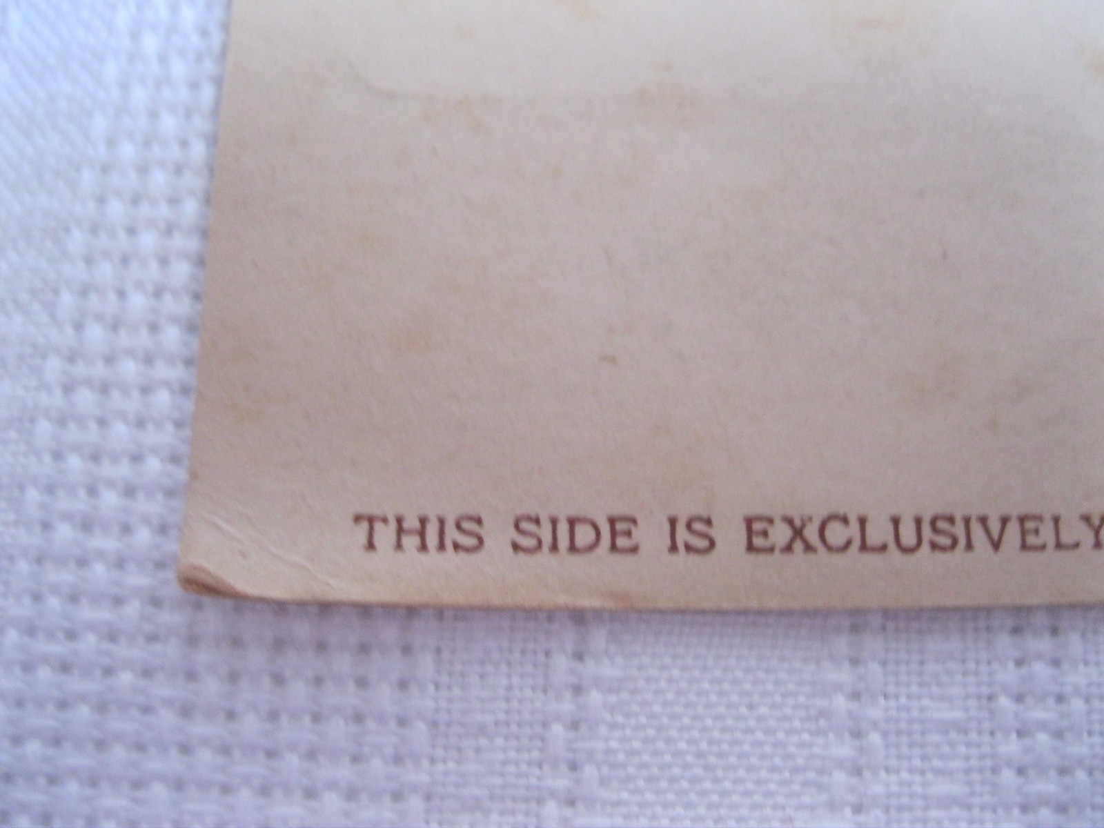 Leyland Line Cruise Ship Postcard Early 20th Century