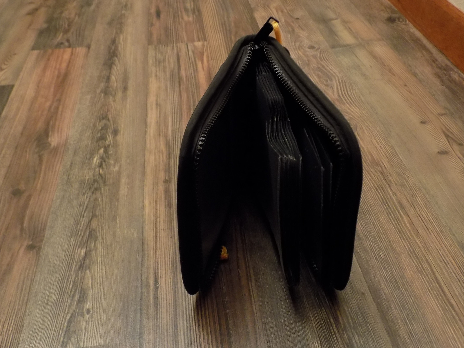 portable cd carrier with strap or belt clip