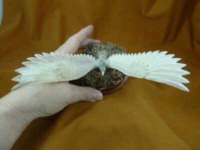 EAGLE-37 Eagle wings out on nest shed ANTLER figurine Bali detailed carving