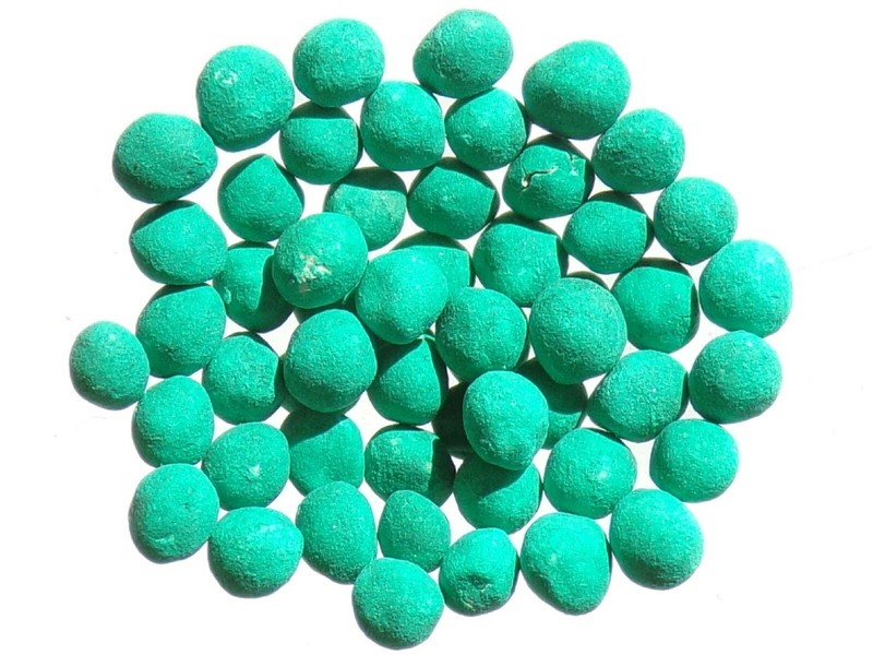 Dichondra Repens - Sem14