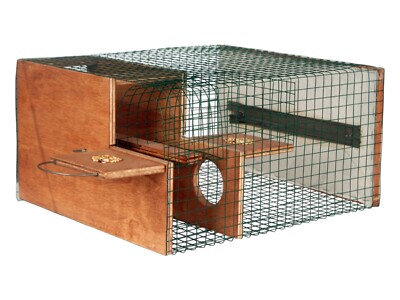  Elevator Type Sparrow TRAP Automatic Live Catch. Non Stop Condition. Easy Catch