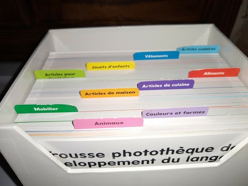 Lakeshore French Flash Cards Over 250 Photo Language Development KT892