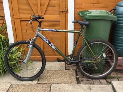 raleigh manta ray mountain bike