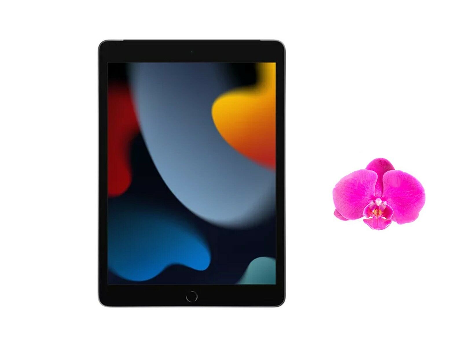 Apple 10.2-inch iPad (2021) Wi-Fi 64GB - Space Gray Brand New in Box | eBay Apple 10.2-inch iPad (2021) Wi-Fi 64GB - Space Gray Brand New in Box | eBay