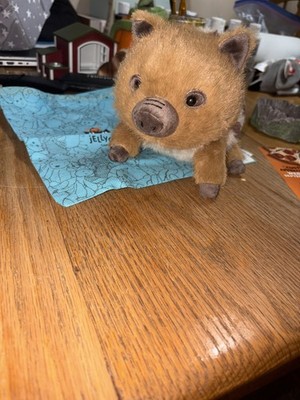 經驗證買家提供的物品圖片