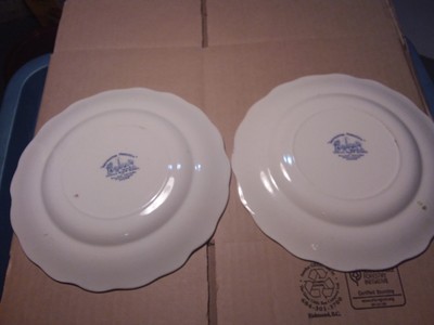 2 PLATES  - FLOW BLUE - 