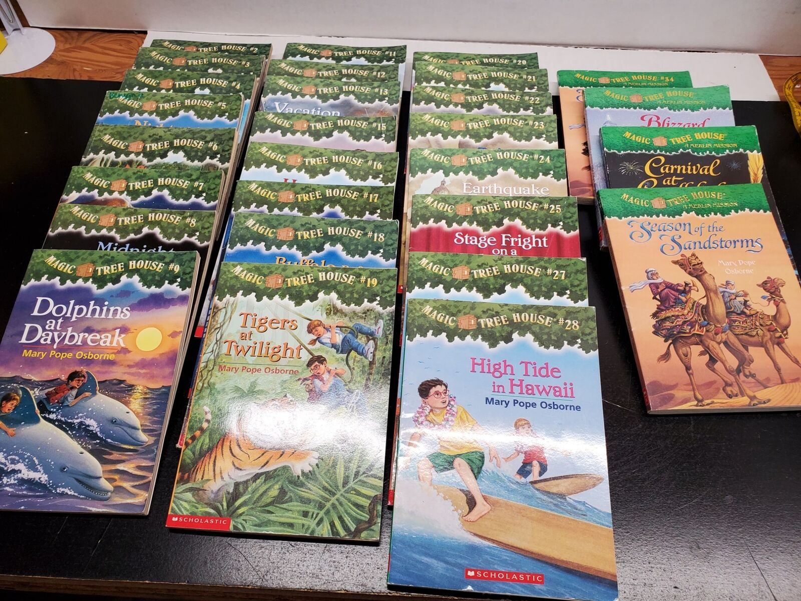 Magic Tree House Books - 26 Total -(#2-9, 11-13, 15-25, 27-28, 34) 3 Un-numbered Magic Tree House Books - 26 Total -(#2-9, 11-13, 15-25, 27-28, 34) 3 Un-numbered