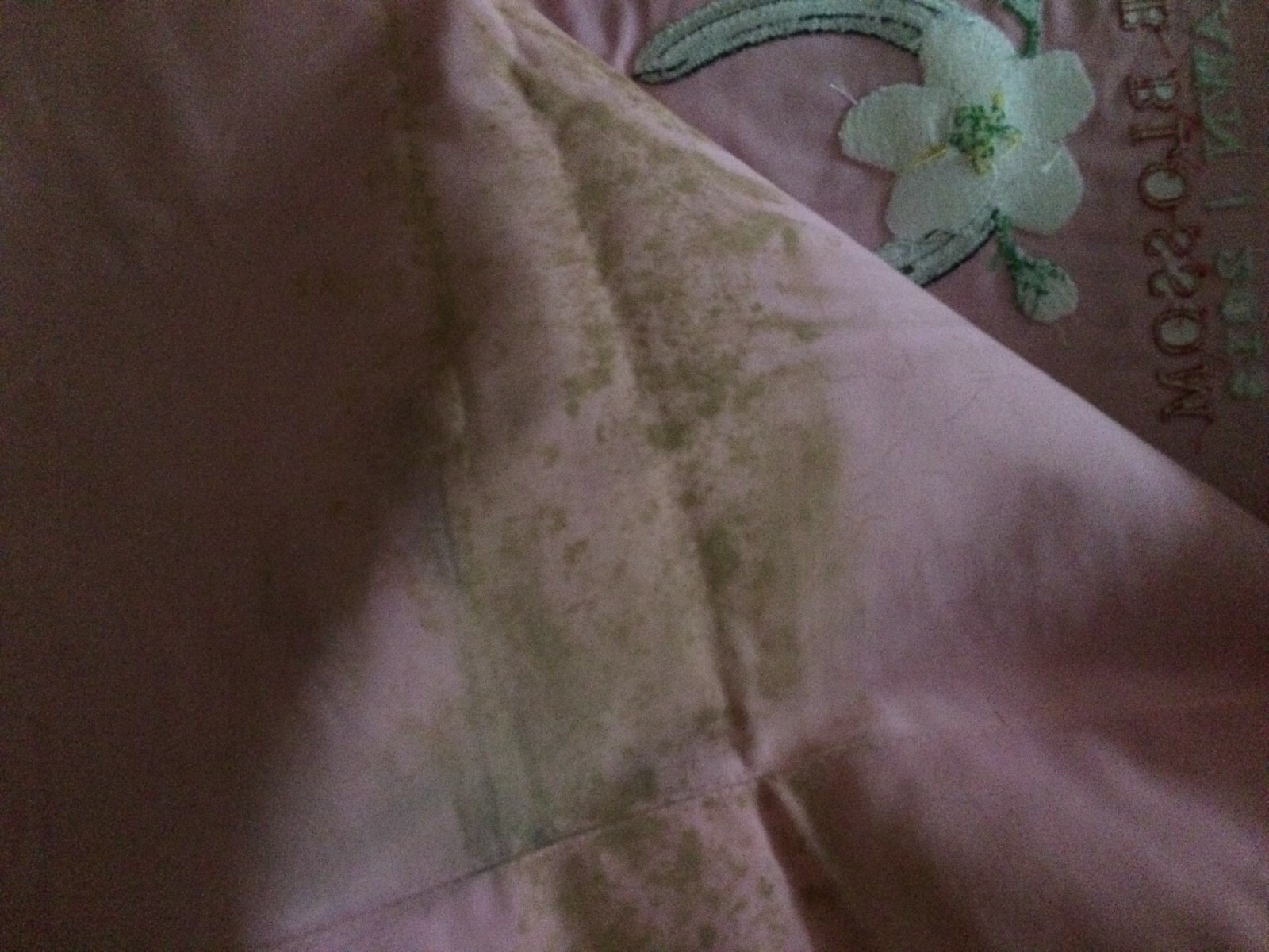 Saddle cloth ; race worn by Unique Bella-2nd place- 2 time Eclipse Award Winner