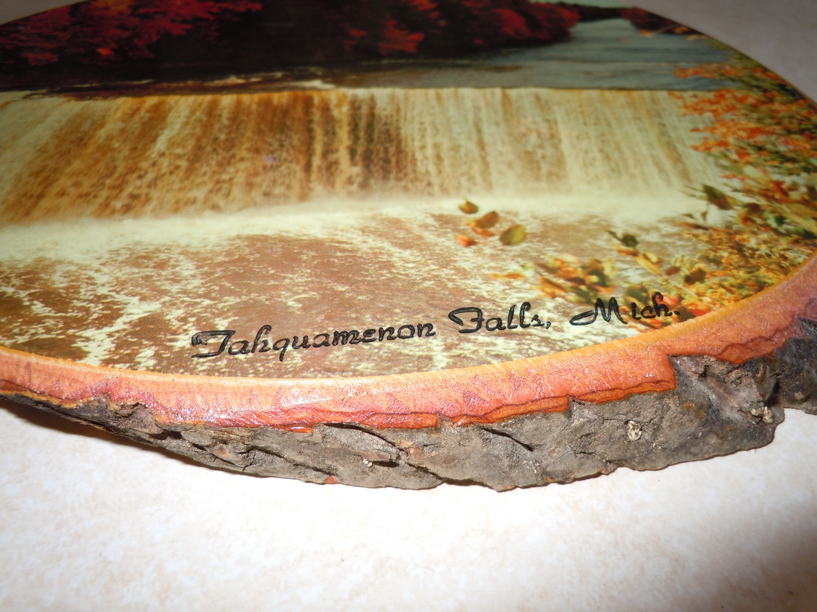 Vintage Wooden Photo Wall Hanging of Lower Tahquamenon Falls Michigan.  1950's