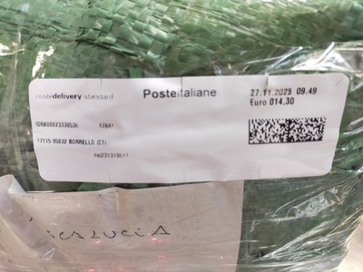 Foto dell'oggetto di un acquirente verificato