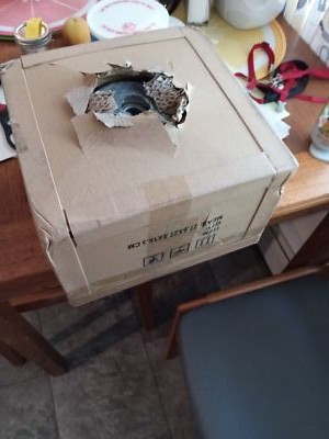 Item photo(s) from verified buyer