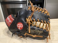 rawlings pro 1000