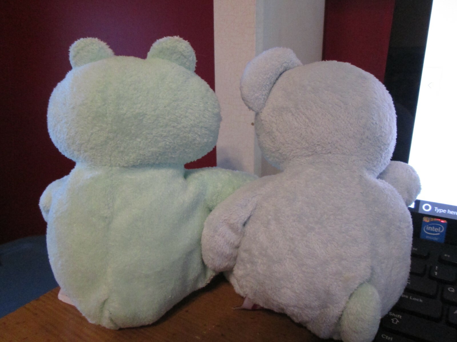 TY PLUSH BEAR & FROG