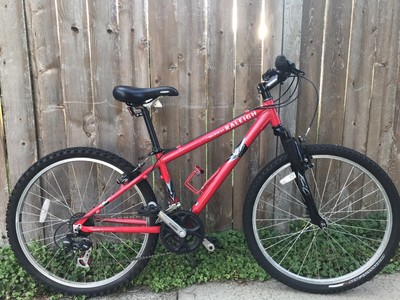2002 raleigh m80
