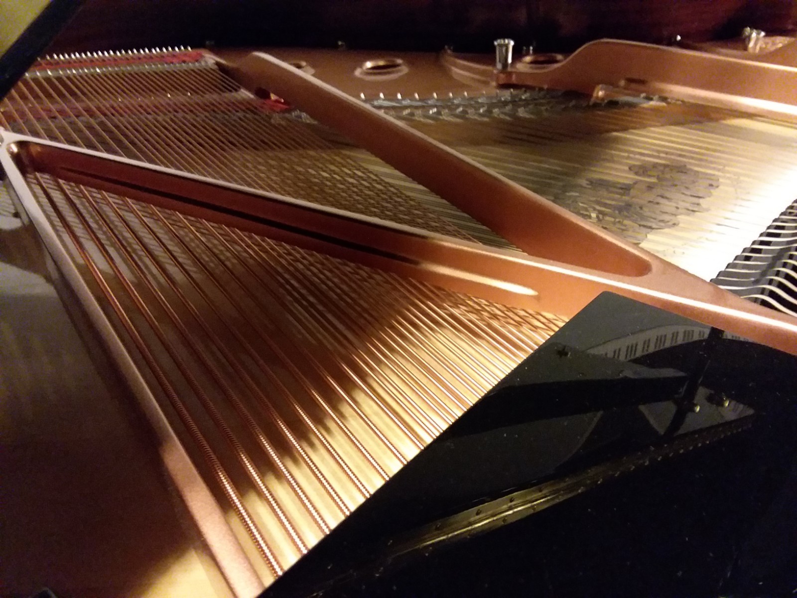 Brodmann Grand Piano