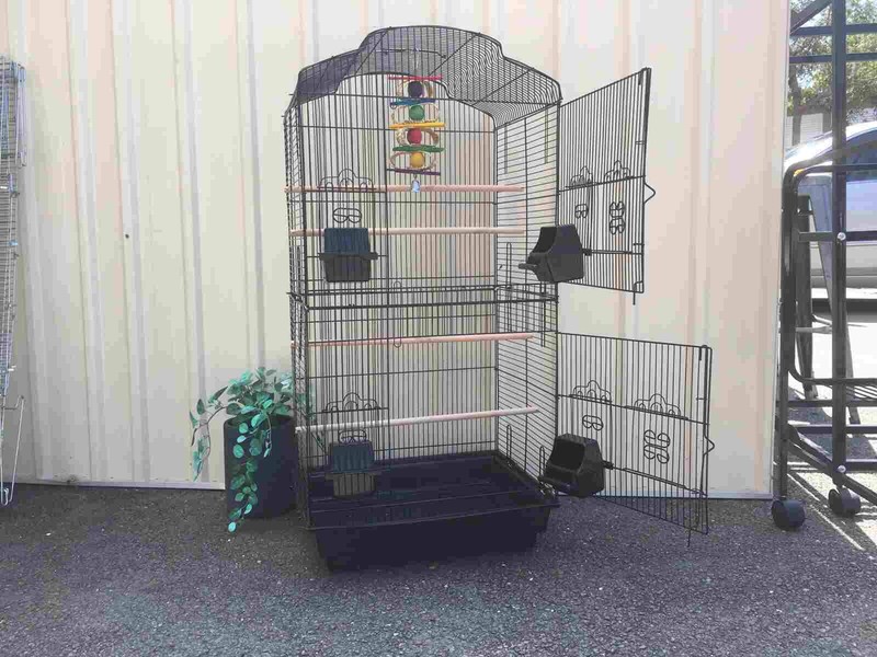 ava white fish dog food