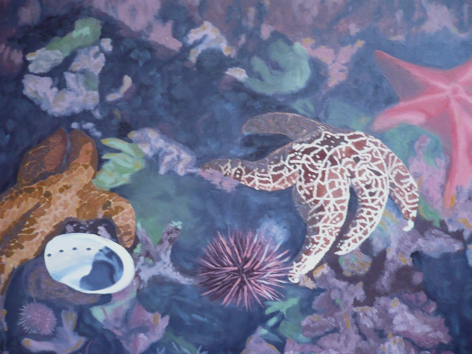 FRANKIE BARNETT, OCEAN INTERIOR REALISM TIDEPOOL STARFISH OCEAN SHELLS ROCKS OIL