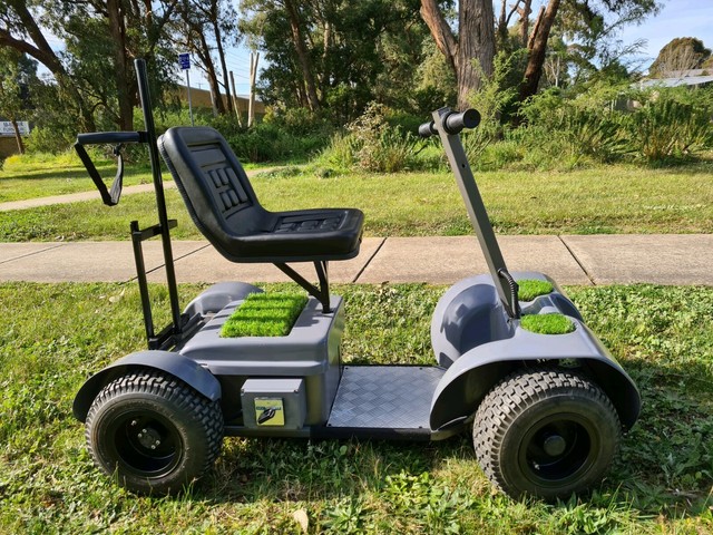 parmaker golf buggy for sale
