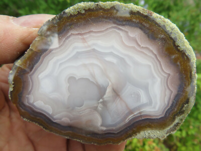 Awesome Cut & Polished Agua Nuevas Agate Nodule end cut 0 pounds 6.7 ounces