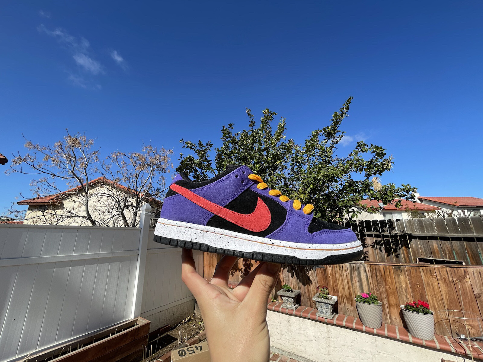 acg sb dunk