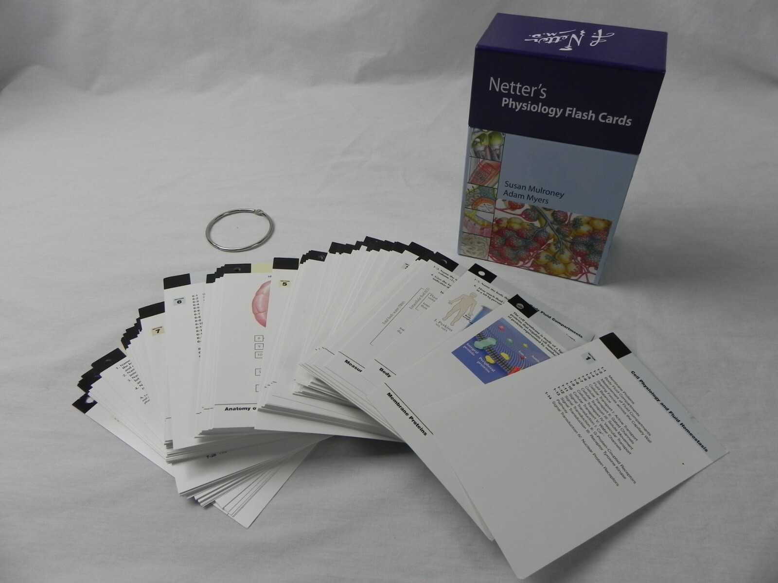 Netter's Physiology Flash Cards Mulroney Myers EUC Education 9781416046288| eBay for Free Printable Anatomy And Physiology Flash Cards