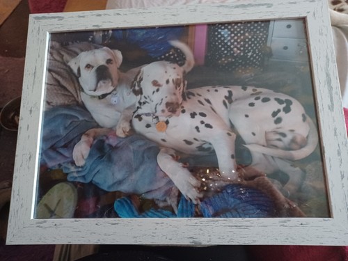 Fotos del artículo de un comprador verificado
