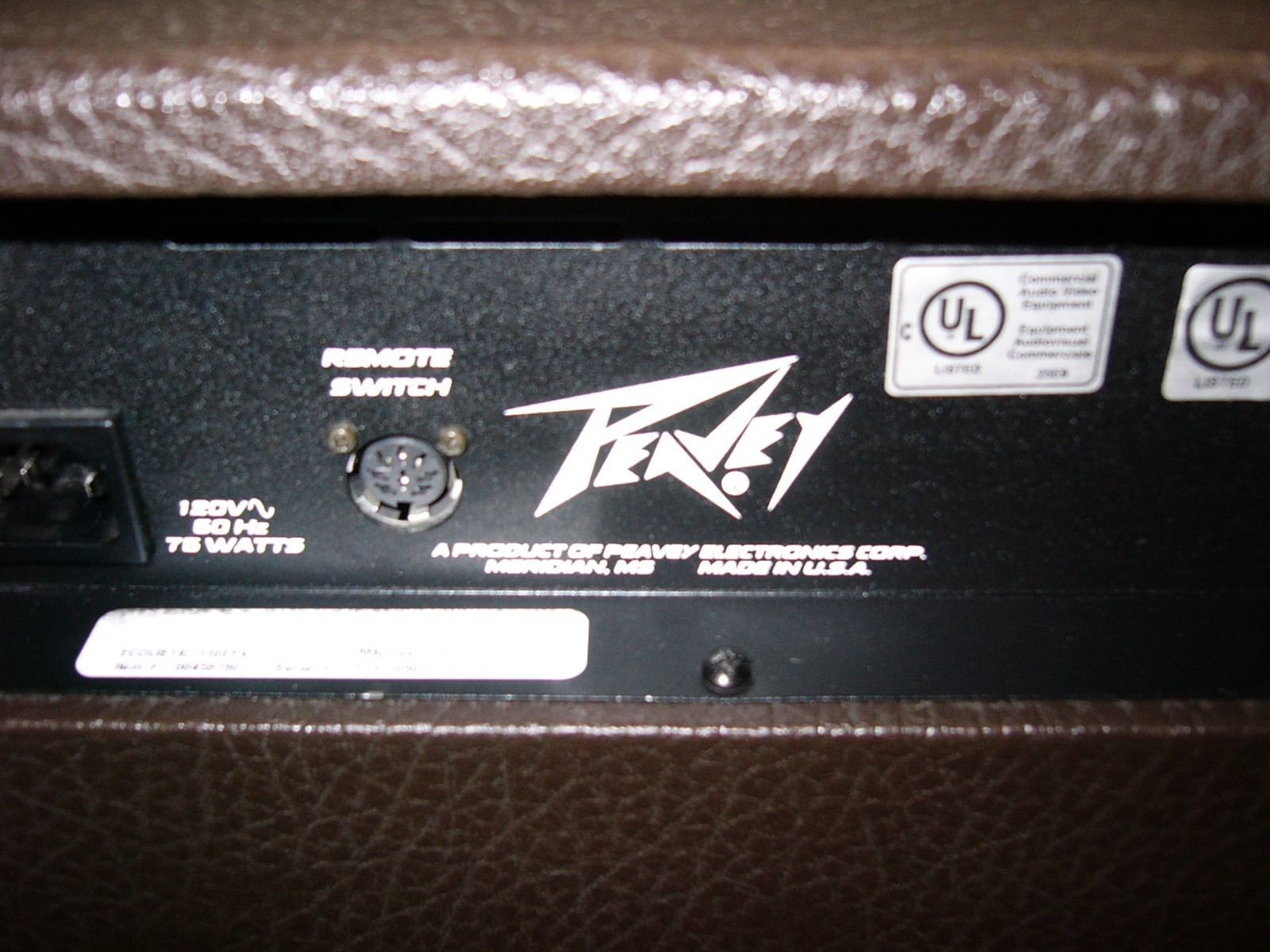 Peavey Acoustic guitar amp Ecoustic 110EFX  With cover, manual. Made in USA