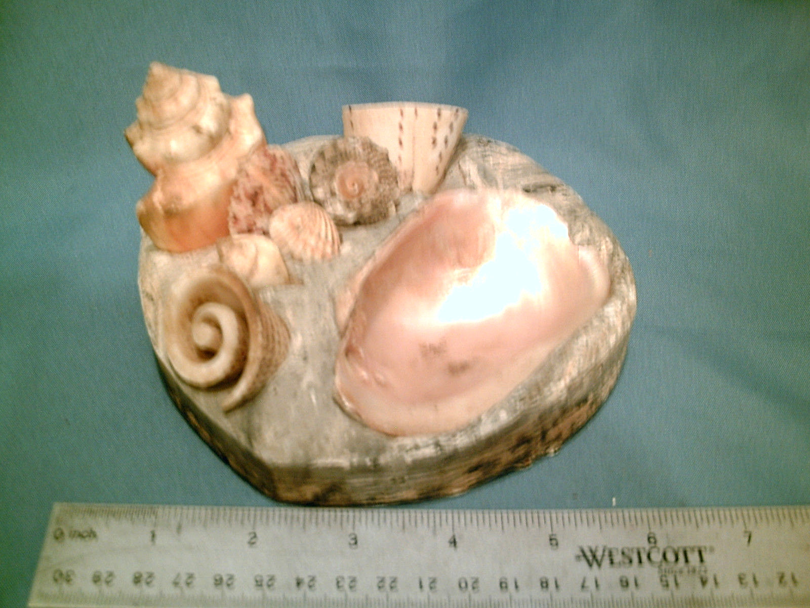 ESTATE LOT! of 5 Hand-Crafted Sea Shell Figures Bird Race Car Trinket Dish Heart