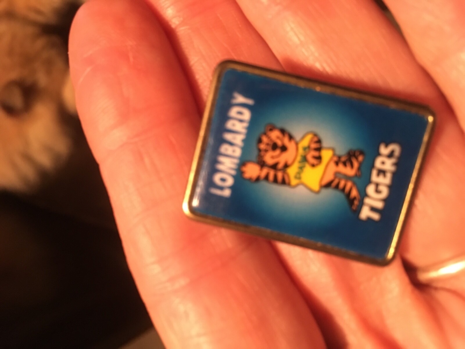 Lombardy Tigers Brandywine School District DELAWARE