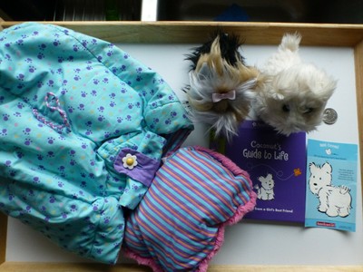 american girl yorkie dog
