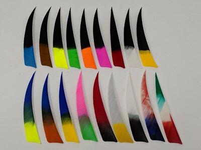 Archery Past 4'' Shield Multi-Colored Feathers - 12 Pack, RW or LW
