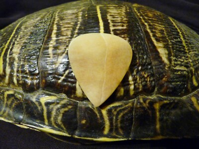"SLY RED'S" ORIGINAL REAL TURTLE SHELL GUITAR PICK!  BLUEGRASS!!! TONY RICE!!!!