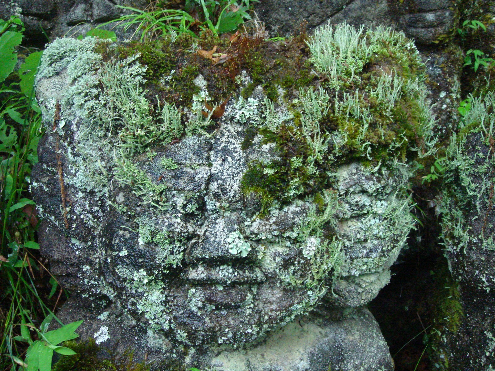 Moss Crete - Naturalistic Stone Cement Blend for Growing Moss