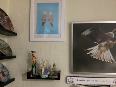 Fotos del artículo de un comprador verificado