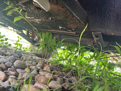 unclassified image 14