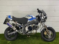 1987 Honda Monkey with thousands in extras